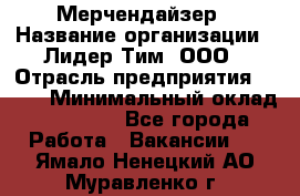 Мерчендайзер › Название организации ­ Лидер Тим, ООО › Отрасль предприятия ­ BTL › Минимальный оклад ­ 17 000 - Все города Работа » Вакансии   . Ямало-Ненецкий АО,Муравленко г.